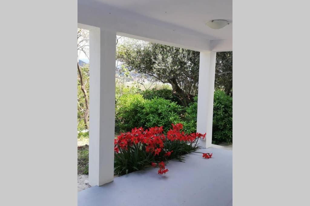 Ribaric Villa Banjol Exterior photo