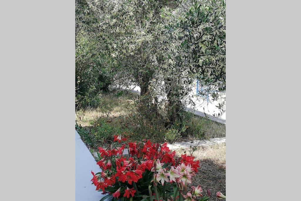 Ribaric Villa Banjol Exterior photo